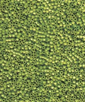 BeadsBalzar Beads & Crafts (DB-1135) MIYUKI DELICA 11-0 OPAQUE AVOCADO (5 GMS)