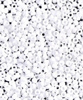 BeadsBalzar Beads & Crafts (MSB11-0402-250G) MIYUKI SEED BEADS 11-0 WHITE OPAQUE (250 GMS)