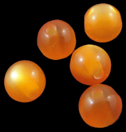 BeadsBalzar Beads & Crafts (RB4239) Resin Beads 8mm Cats Eye (60 PCS)