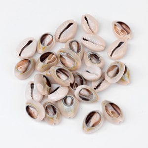 BeadsBalzar Beads & Crafts (SH3454A) Natural Shells 18-20MM long