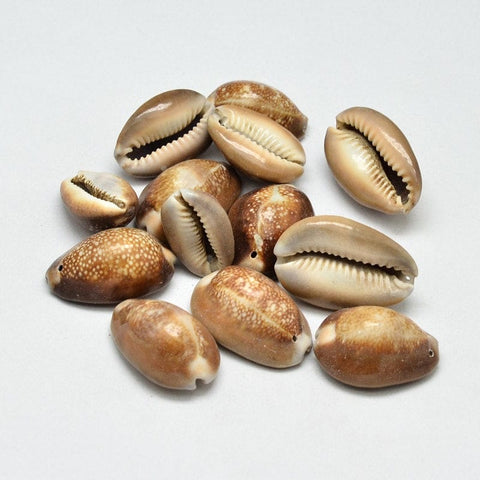 BeadsBalzar Beads & Crafts (SH5234) SHELL OVAL Size: about 17~25mm wide (10 PCS)