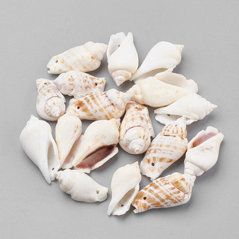 Conch Shell Beads, 30~45mm Conch Shell Beads, 30~45mm