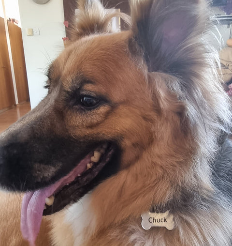 Custom Laser Pet Tag Engraving 38x25mm Custom Dog Tag Engraving – Personalize Your Pet's ID Tags