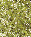 (DBM2265) MIYUKI DELICA 10-0 OPAQUE CHARTREUSE PICASSO (5 GMS) DELICA 10/0 OPAQUE CHARTREUSE PICASSO