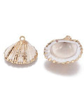 Electroplate Shell Pendants, Shell, Golden, 18~25mm Electroplate Shell Pendants, with Brass Findings, Shell, Golden, Golden Size: about 18~25mm wide, 17~23mm long, 8~11mm thick, hole: 2mm
