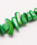 Freshwater Shell Chip Beads, Green, 8~18mm Freshwater Shell Chip Beads, Green, 8~18mm