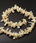 Freshwater Shell Chips, White Freshwater Shell Chips, White