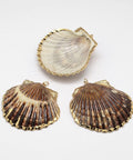 Large Natural Shell Pendant, 40x50mm  Large Natural Shell Pendant, 40x50mm