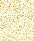 Miyuki Delica Cream matted DB0352 (50g) Miyuki Delica Cream matted DB0352 (50g)