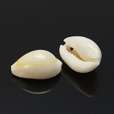 Natural Shell Beads Natural shell pendants