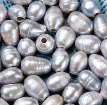 GRAY Pearl Beads, Oval, Size: about 7~10mm long Pearl Beads, Oval, Seashell Size: about 7~10mm long, 7~8mm in diameter, hole: 1.8mm