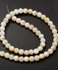 (SH4251) Shell beads 6mm Round shell beads 6mm