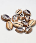 (SH5617) Cowrie Shell Oval Beads, No Hole, Camel 26~35mm Cowrie Shell Oval Beads, No Hole, Camel Size: about 14~25mm wide, 26~35mm long