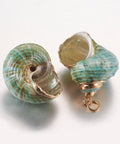 (SH5628) Electroplate Spiral Shell Pendants, with Brass Findings, Conch, Golden 21~37mm long, Electroplate Spiral Shell Pendants, with Brass Findings, Conch, Golden Size: about 22.5~32mm wide, 21~37mm long, 18~30mm thick, hole: 3mm.
