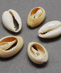 (SH5630) Cowrie Shell Beads, Oval, Bisque 20~23mm wide, Cowrie Shell Beads, Oval, Bisque Size: about 14~20mm long, 20~23mm wide, 9~13mm thick, Hole: 1~2mm