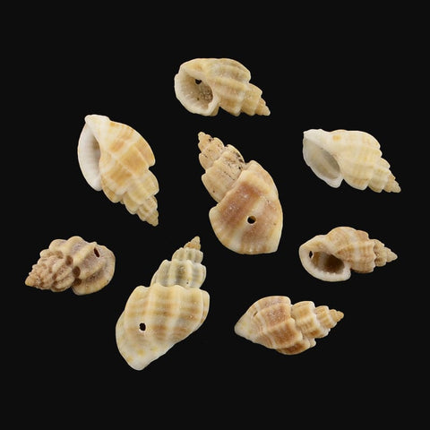 (SH5643) Spiral Shell Pendants, Peru Size: about 15~22mm long Spiral Shell Pendants, Peru Size: about 15~22mm long, 8~13mm wide, 7~10mm thick, hole: 1mm
