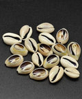 (SH5686) Cowrie Shell Bead, PaleGoldenrod 17-20MM Cowrie Shell Beads, No Hole, PaleGoldenrod Size: about 10~12mm wide, 17~20mm long, 5~6mm thick