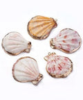 Shell Pendants, Shell, Light Gold, Size: about 38.5~42mm long, 35~38mm wide Shell Pendants, with Iron Findinggs, Shell, Light Gold, Size: about 38.5~42mm long, 35~38mm wide, 6.5~8mm thick, hole: 1.6~1.8mm.