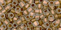 (TR-08-989F) TOHO - Round 8/0 : Gold-Lined Frosted Crystal (25 GMS) (TR-08-989F) TOHO - Round 8/0 : Gold-Lined Frosted Crystal (25 GMS)