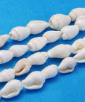 Trumpet Shell Beads, White, 4~7x6~11mm Trumpet Shell Beads, White, 4~7x6~11mm
